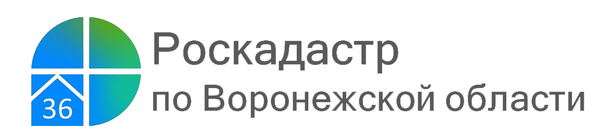 В Воронежской области оцифровано 100% кадастровых дел.