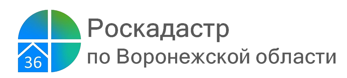 Август стал самым результативным месяцем по внесению территориальных зон с начала года.