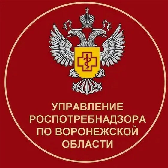 Протокол испытаний. Протокол испытаний.