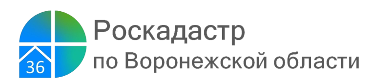 Землеустроительную документацию теперь выдают в течение суток. Землеустроительную документацию теперь выдают в течение суток.