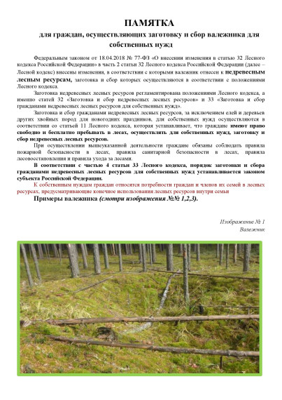 ПАМЯТКА для граждан, осуществляющих заготовку и сбор валежника для собственных нужд. ПАМЯТКА для граждан, осуществляющих заготовку и сбор валежника для собственных нужд.